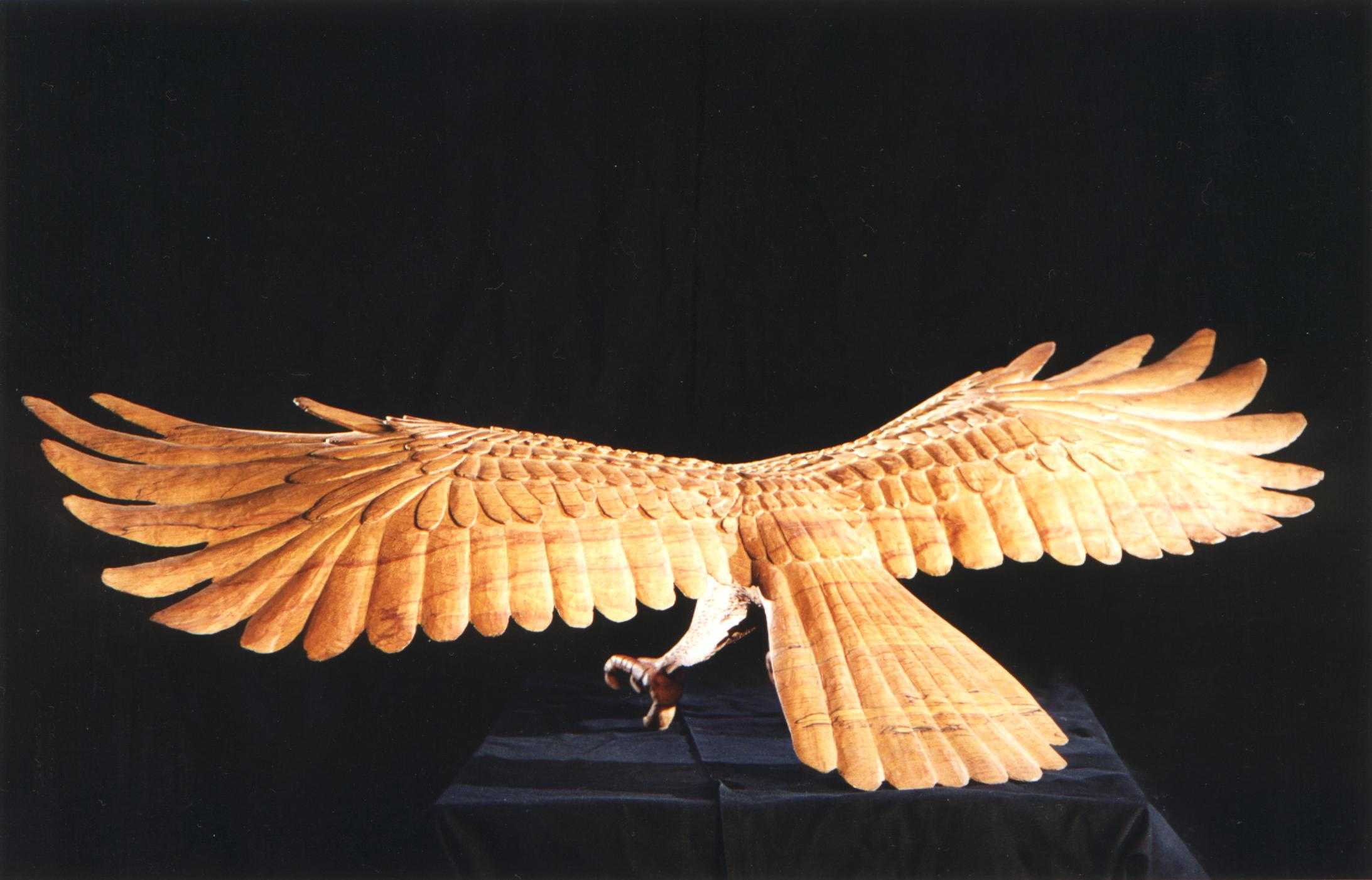 Aigle planeur
